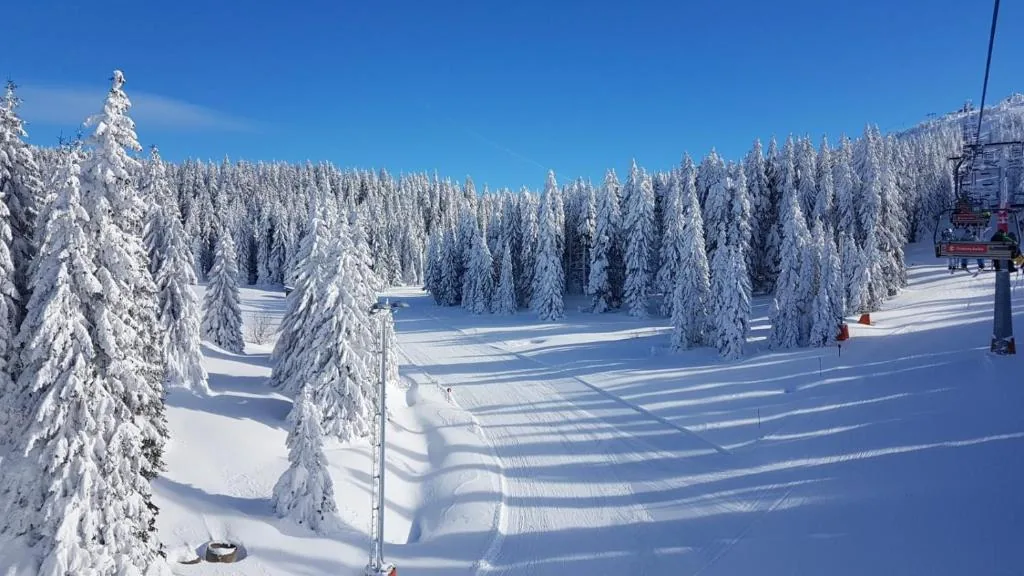 Ski staza na Kopaoniku pod snegom
